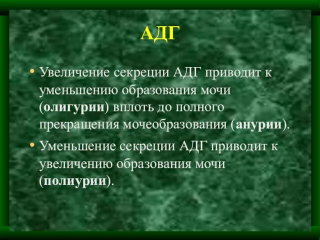 АДГ Увеличение секреции АДГ приводит к уменьшению образования мочи (олигурии) вплоть