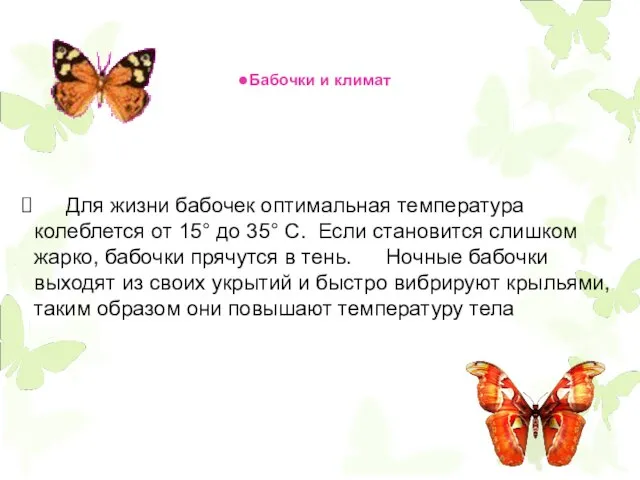 Для жизни бабочек оптимальная температура колеблется от 15° до 35° С.