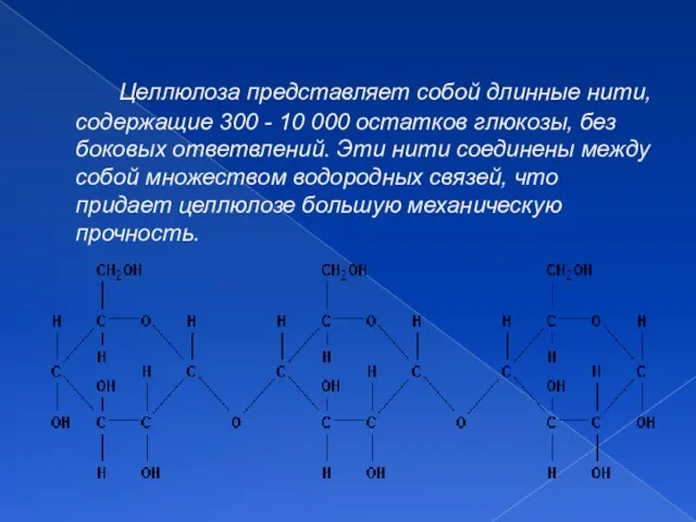 Целлюлоза представляет собой длинные нити, содержащие 300 - 10 000 остатков