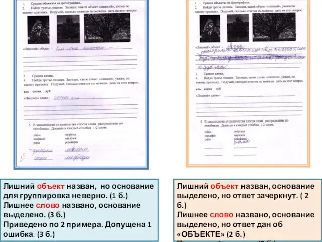 Лишний объект назван, но основание для группировка неверно. (1 б.) Лишнее