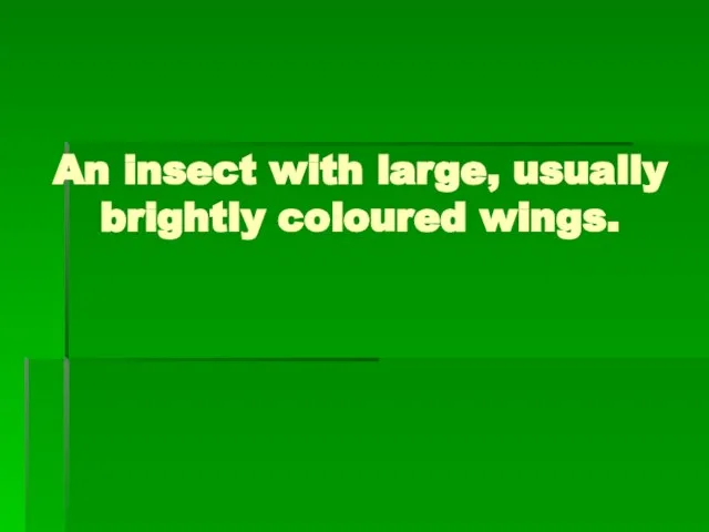 An insect with large, usually brightly coloured wings.