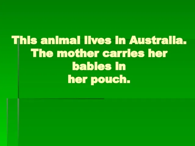 This animal lives in Australia. The mother carries her babies in her pouch.