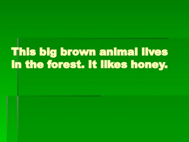 This big brown animal lives in the forest. It likes honey.