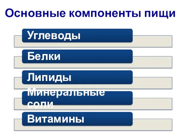 Основные компоненты пищи