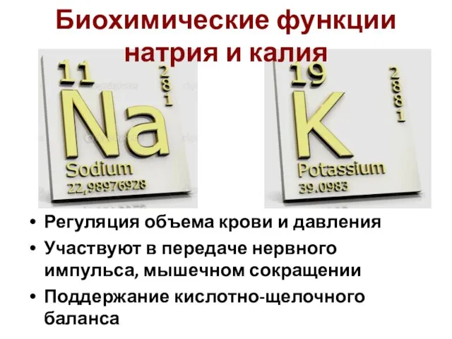 Регуляция объема крови и давления Участвуют в передаче нервного импульса, мышечном