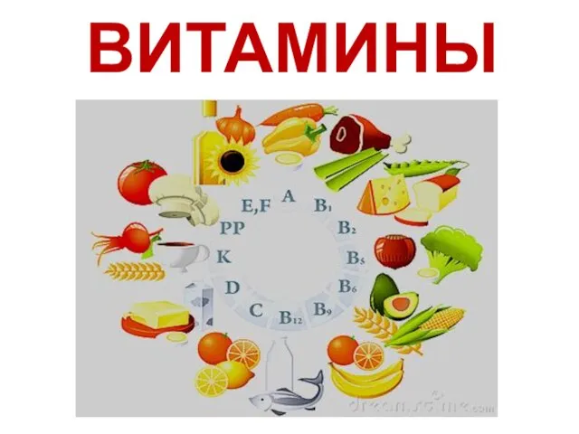 ВИТАМИНЫ