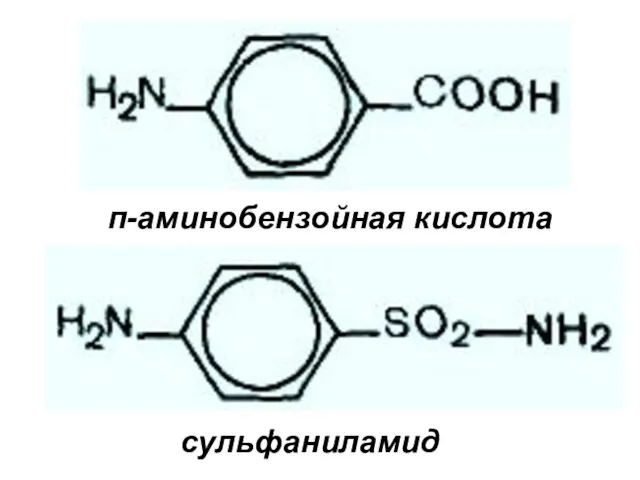 п-аминобензойная кислота сульфаниламид