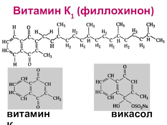 Витамин К1 (филлохинон) витамин К3 викасол