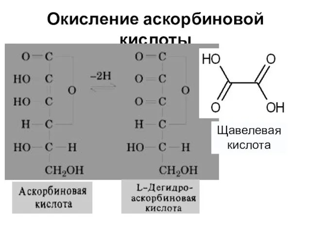 Окисление аскорбиновой кислоты Щавелевая кислота