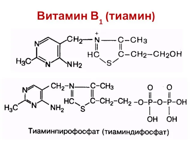 Витамин В1 (тиамин)