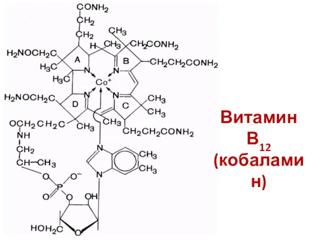 Витамин В12 (кобаламин)