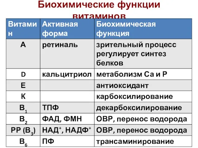 Биохимические функции витаминов