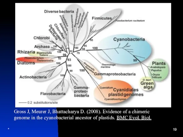 * Gross J, Meurer J, Bhattacharya D. (2008). Evidence of a