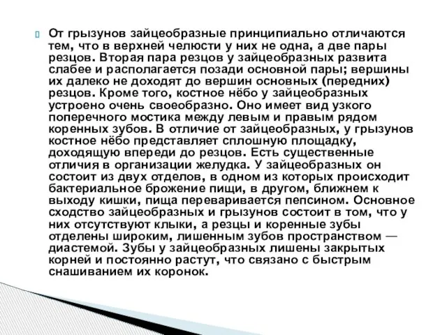 От грызунов зайцеобразные принципиально отличаются тем, что в верхней челюсти у