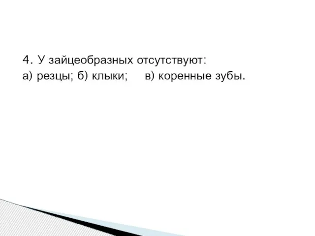 4. У зайцеобразных отсутствуют: а) резцы; б) клыки; в) коренные зубы.