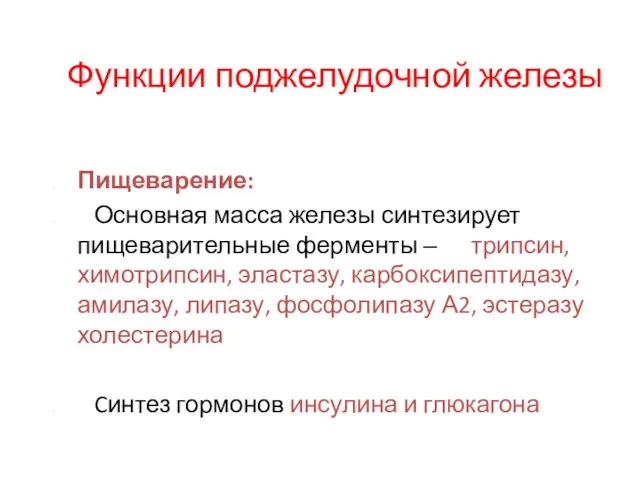 Функции поджелудочной железы Пищеварение: Основная масса железы синтезирует пищеварительные ферменты –