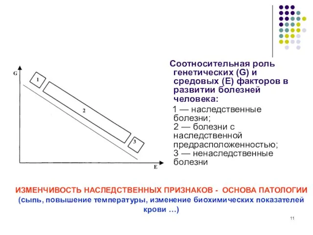 Соотносительная роль генетических (G) и средовых (Е) факторов в развитии болезней