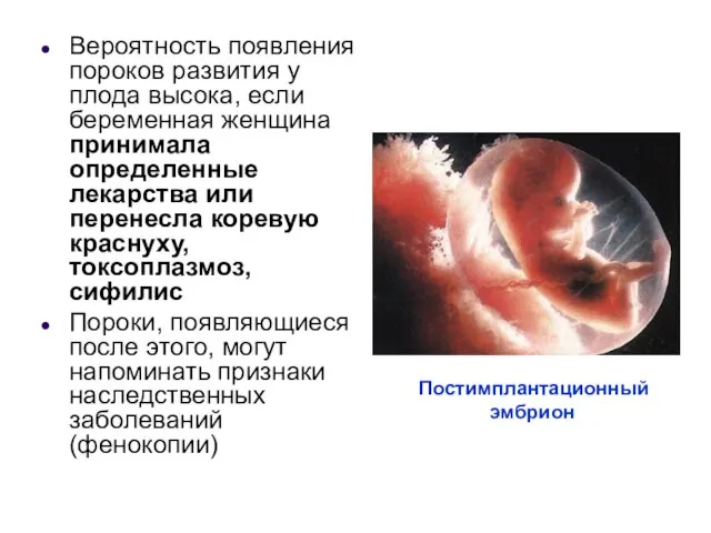 Вероятность появления пороков развития у плода высока, если беременная женщина принимала