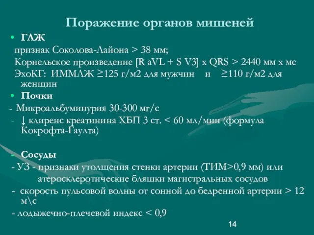 Поражение органов мишеней ГЛЖ признак Соколова-Лайона > 38 мм; Корнельское произведение