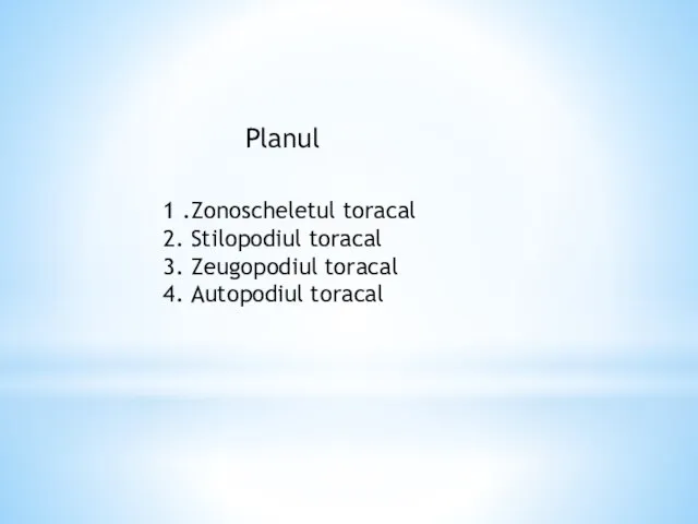 Planul 1 .Zonoscheletul toracal 2. Stilopodiul toracal 3. Zeugopodiul toracal 4. Autopodiul toracal