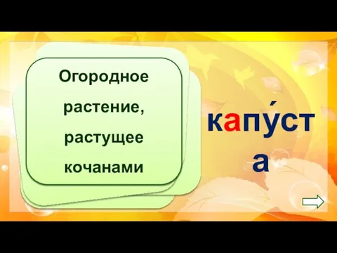 Огородное растение, растущее кочанами капу́ста