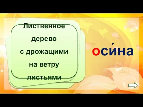 Лиственное дерево с дрожащими на ветру листьями оси́на