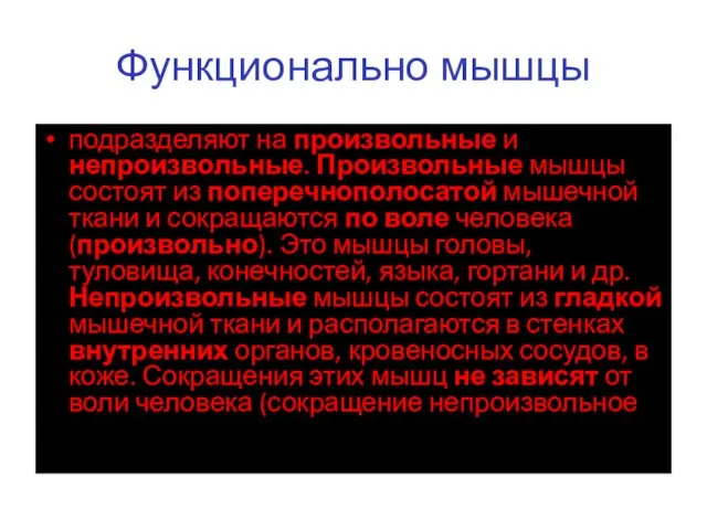 Функционально мышцы подразделяют на произвольные и непроизвольные. Произвольные мышцы состоят из