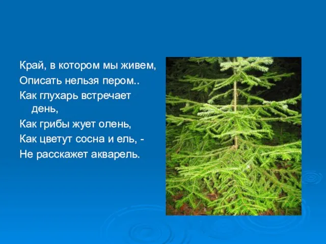 Край, в котором мы живем, Описать нельзя пером.. Как глухарь встречает