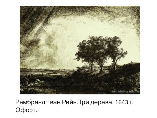 Рембрандт ван Рейн.Три дерева. 1643 г. Офорт.