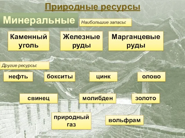 Природные ресурсы Минеральные: Другие ресурсы: Наибольшие запасы: Каменный уголь Железные руды