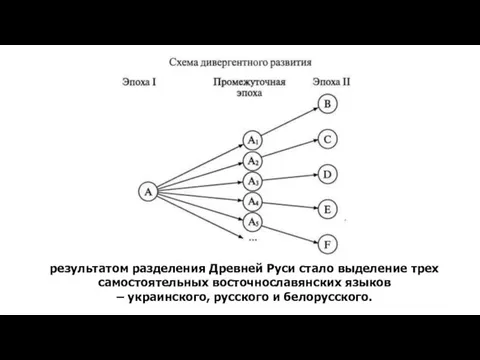 результатом разделения Древней Руси стало выделение трех самостоятельных восточнославянских языков – украинского, русского и белорусского.