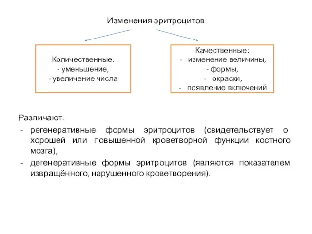 Изменения эритроцитов Различают: регенеративные формы эритроцитов (свидетельствует о хорошей или повышенной