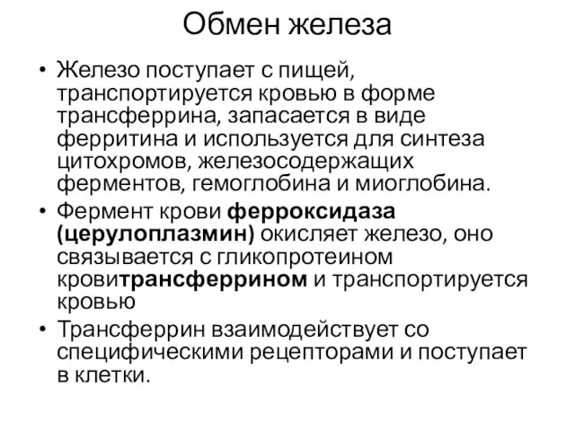 Обмен железа Железо поступает с пищей, транспортируется кровью в форме трансферрина,