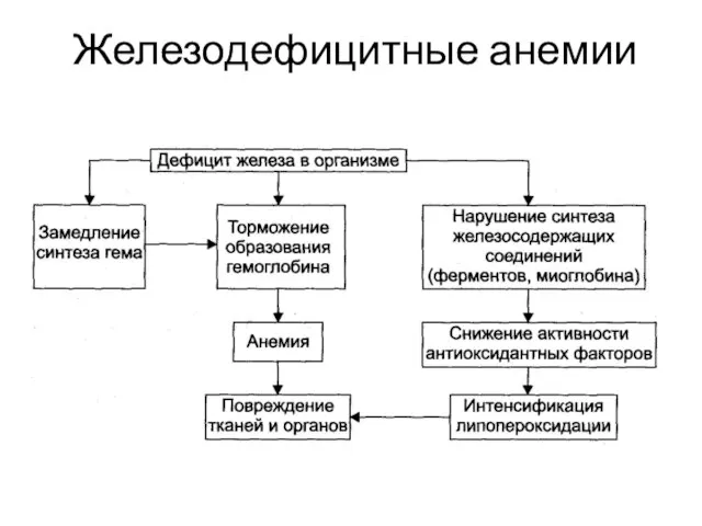 Железодефицитные анемии