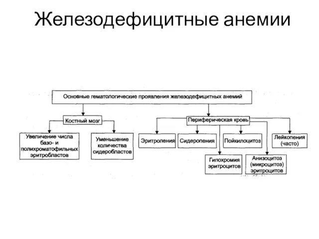 Железодефицитные анемии