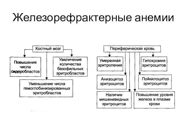 Железорефрактерные анемии