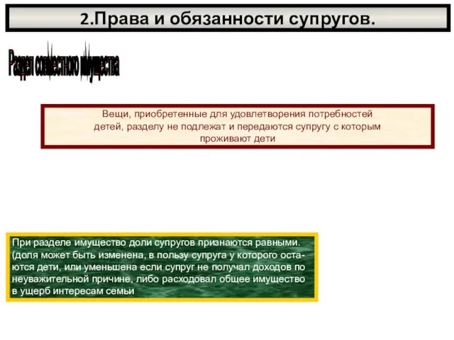 2.Права и обязанности супругов. Раздел совместного имущества Вещи, приобретенные для удовлетворения