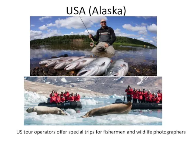 USA (Alaska) US tour operators offer special trips for fishermen and wildlife photographers