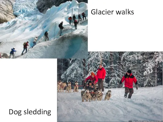 Glacier walks Dog sledding