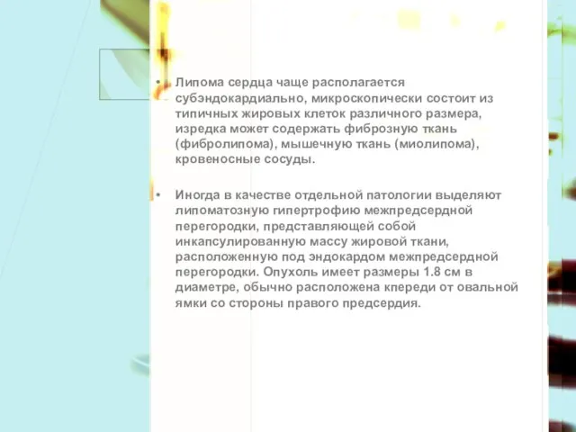 Липома сердца чаще располагается субэндокардиально, микроскопически состоит из типичных жировых клеток