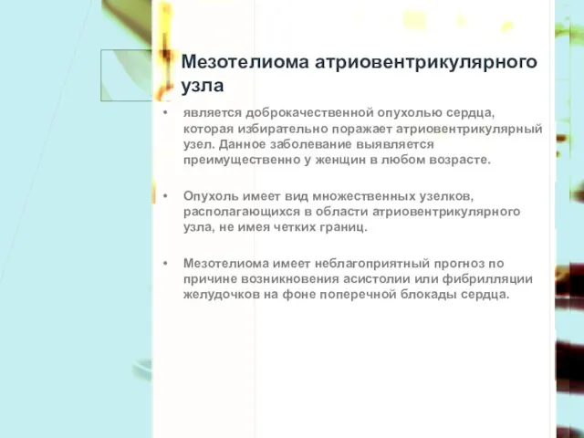 Мезотелиома атриовентрикулярного узла является доброкачественной опухолью сердца, которая избирательно поражает атриовентрикулярный