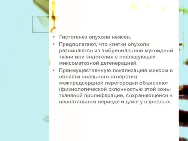 Гистогенез опухоли неясен. Предполагают, что клетки опухоли развиваются из эмбриональной мукоидной