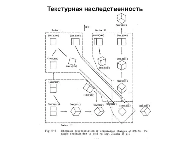 Текстурная наследственность