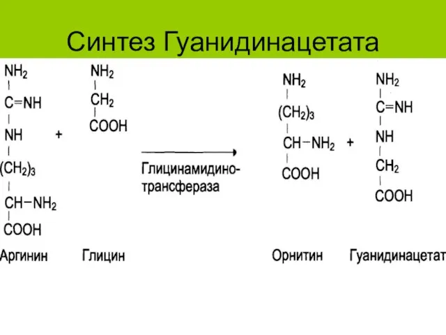 Синтез Гуанидинацетата