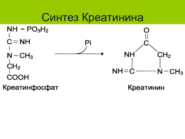 Синтез Креатинина