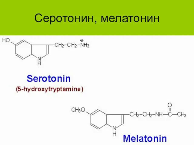 Серотонин, мелатонин