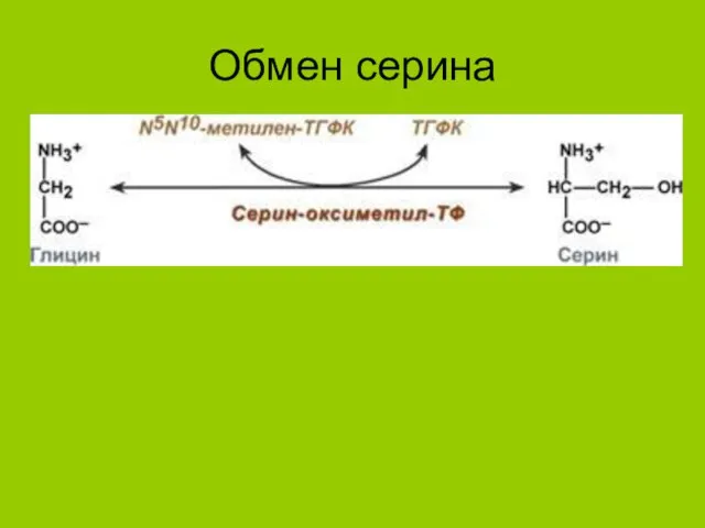 Обмен серина