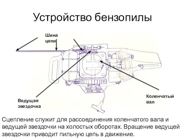 Устройство бензопилы Сцепление служит для рассоединения коленчатого вала и ведущей звездочки