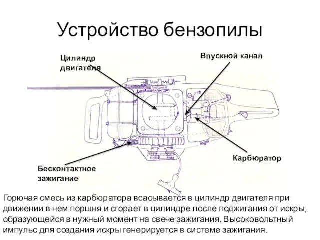 Устройство бензопилы Горючая смесь из карбюратора всасывается в цилиндр двигателя при