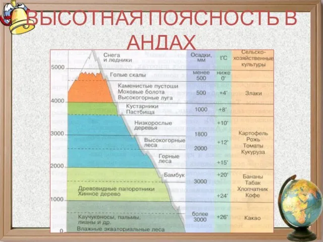 ВЫСОТНАЯ ПОЯСНОСТЬ В АНДАХ